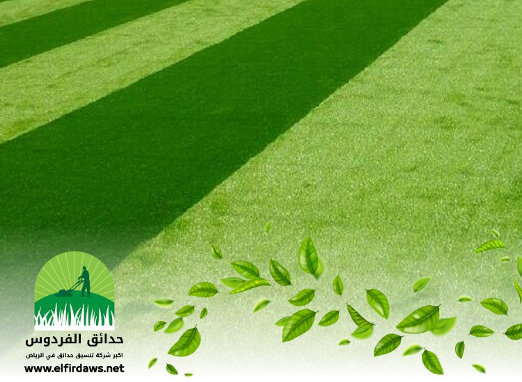 تجهيز ملاعب