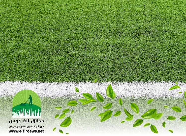 تجهيز ملاعب