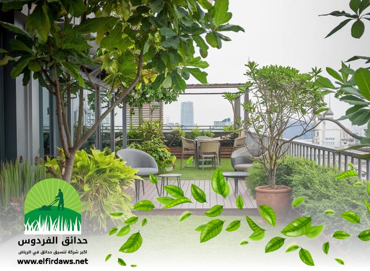 تنسيق اسطح