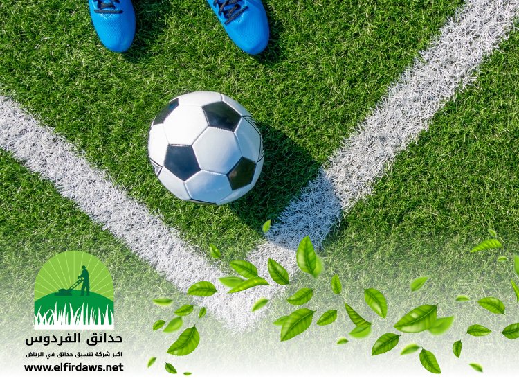 تجهيز ملاعب