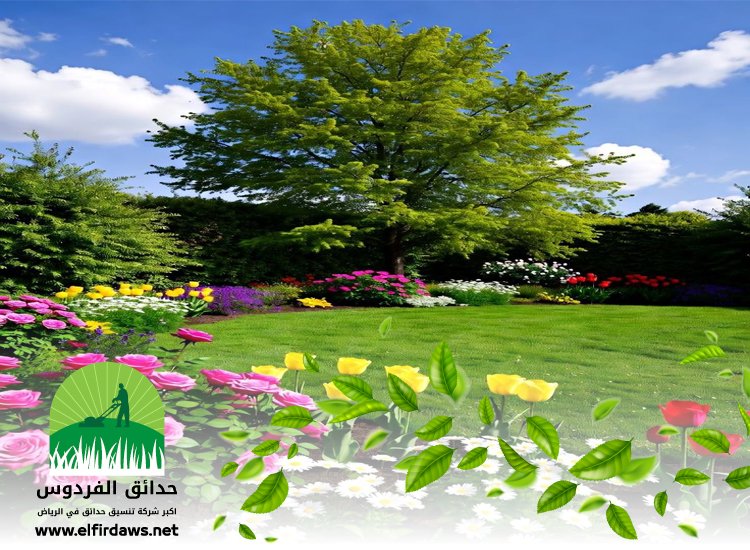شركة تنسيق حدائق بالصحافة