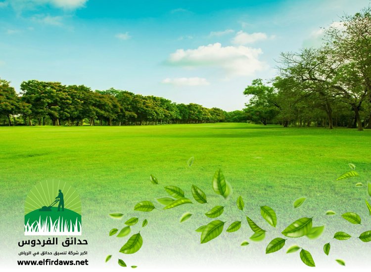 تركيب ثيل طبيعي بالرياض