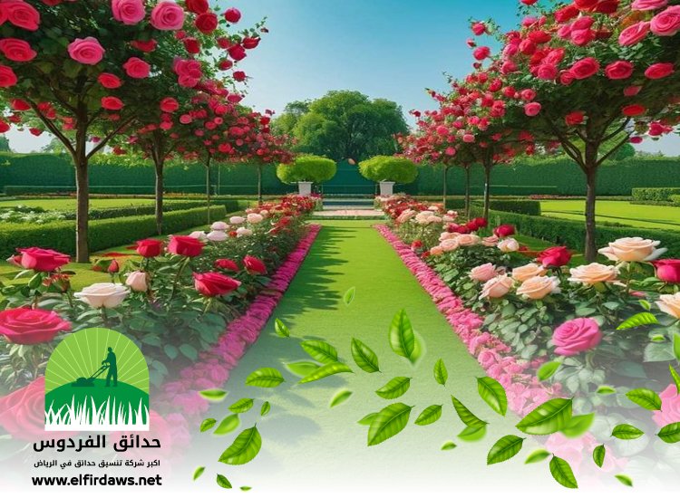 تركيب عشب طبيعي بالرياض