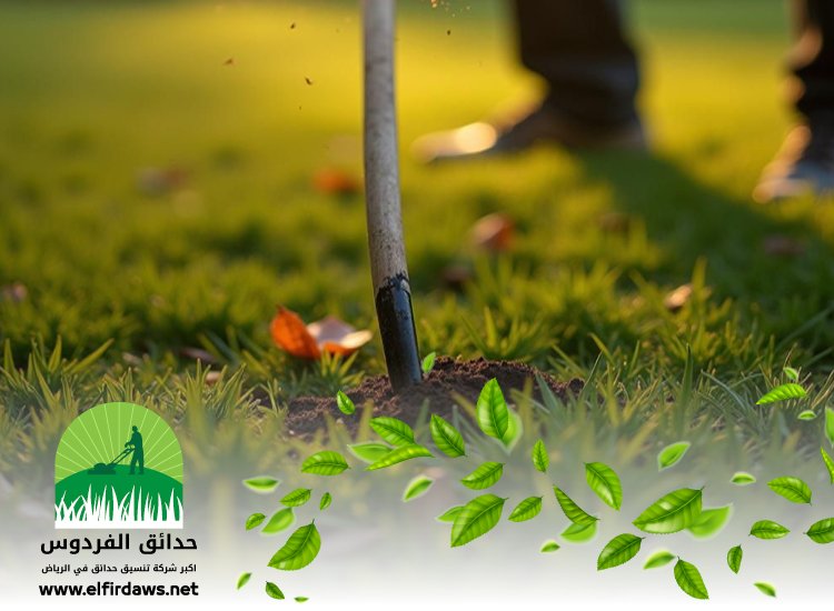 تركيب عشب جنوب الرياض