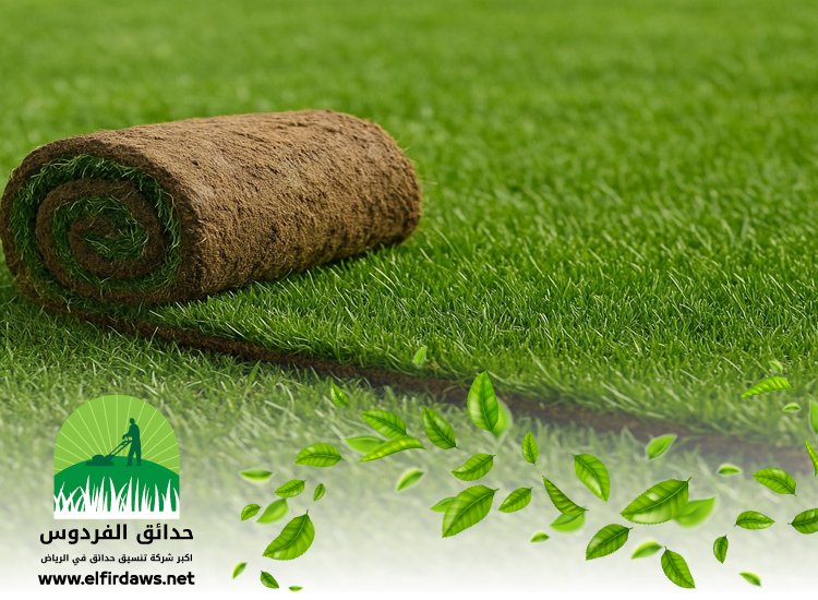 تركيب عشب شمال الرياض