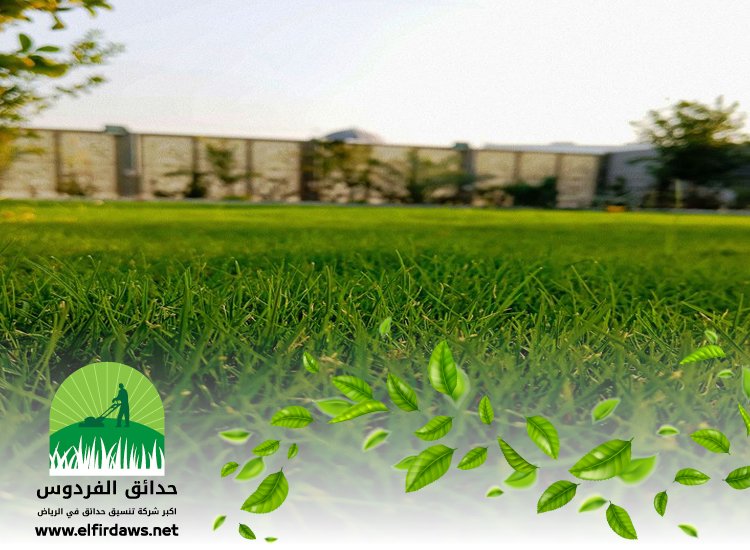 تركيب عشب شرق الرياض