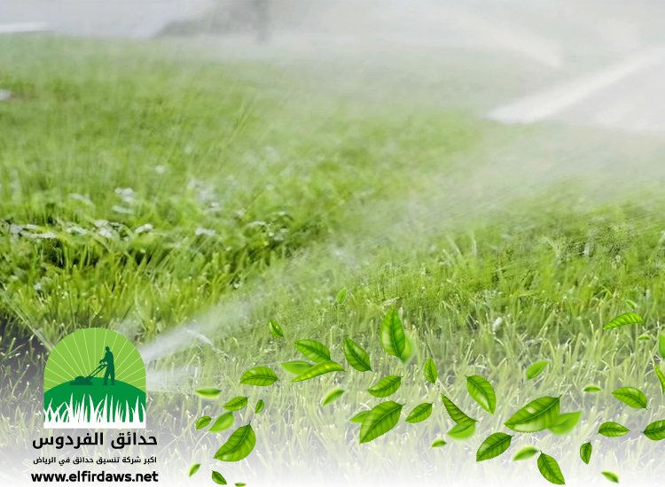 تركيب شبكات الري شمال الرياض